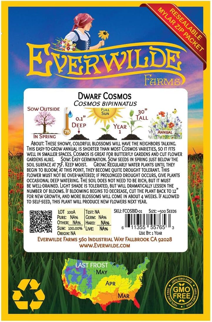 Everwilde Farms - 500 Dwarf Mixed Cosmos Wildflower Seeds - Gold Vault Jumbo Seed Packet