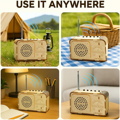 FM Radio Kit, STEM Toys for Ages 8-13, DIY Wooden 3D Puzzle to Build a Working FM Radio, Educational Science Kit for Kids 8-12+, 88-108 MHz