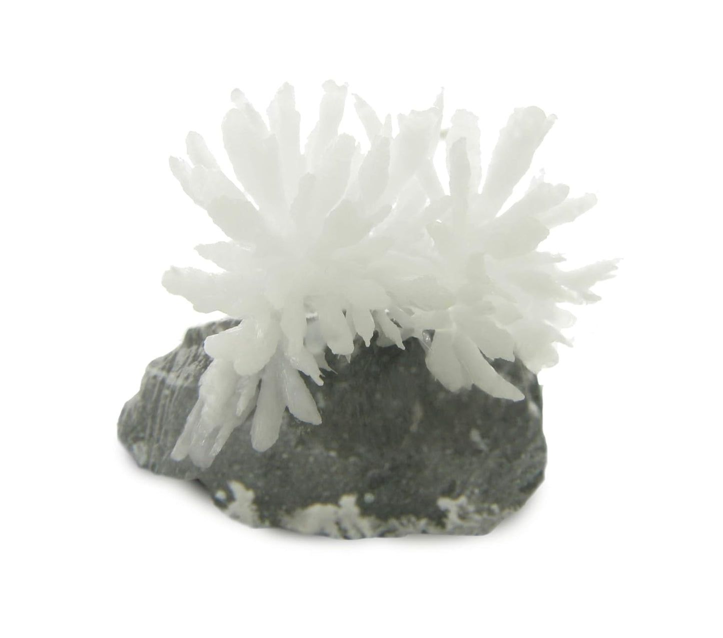 American Educational Products 2971 Explore with Me Geology - Growing Rock Crystals Labless lab Kits, 8" Height, 8" Wide, 8" Length