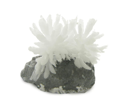 American Educational Products 2971 Explore with Me Geology - Growing Rock Crystals Labless lab Kits, 8" Height, 8" Wide, 8" Length