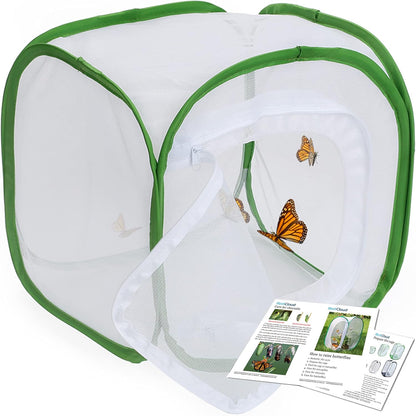 RESTCLOUD Insect and Butterfly Habitat Cage Terrarium Pop-up 24 Inches Tall with Zipper Protection