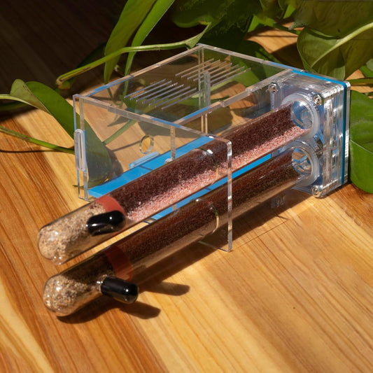 Plaster Test Tube Adult ant Farm Acrylic Transparent ant Observation Behavior Study Live Ants and Queen Education ant nest Small Colony breeding Area Suitable for Children and Enthusiasts Gift