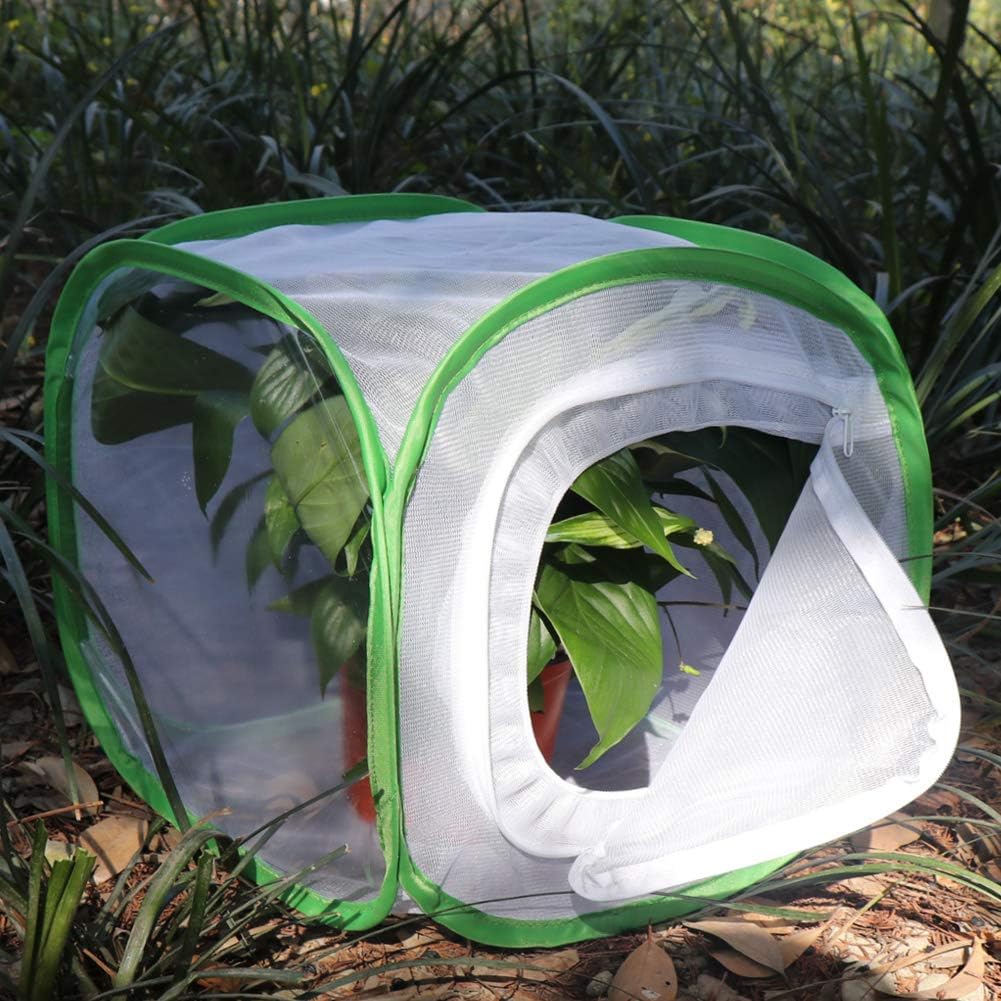 RESTCLOUD Insect and Butterfly Habitat Cage Terrarium Pop-up 24 Inches Tall with Zipper Protection