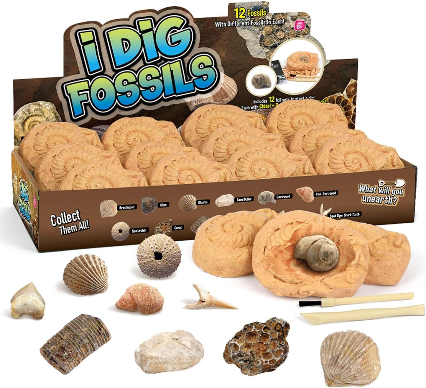 Gamerside Mineral Mining Kit Gem Dig Kit,Rock Dig Kit Dig up 12 Rock & Mineral Collection Gemstones & Crystals Diamond Mining Kit for Kids Gemology Mining Gift Rocks Minerals for Boys Girls
