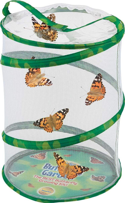 Insect Lore Butterfly Garden with Live Cup of Caterpillars | English and Spanish STEM Activity Journals | 5 Painted Lady Butterfly Baby Caterpillars and Mesh Habitat