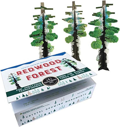 COPERNICUS TOYS Crystal Growing Redwood Forest