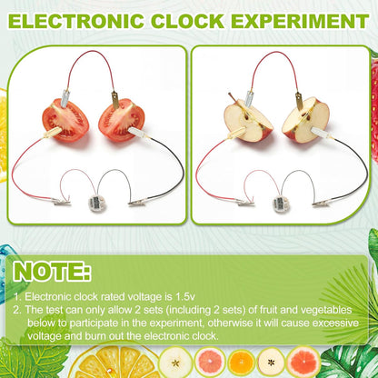 Soulchen 12 Sets Fruit Battery Scientific Experiment Kit with Electronic Clock for Home Teaching Accessories, Orange Lemon Potato Battery Physics Teaching Experiment Educational