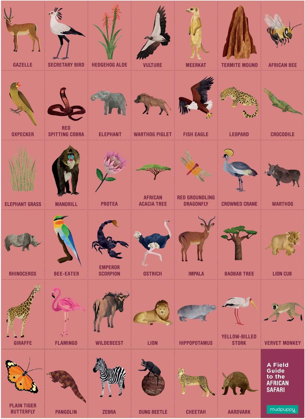 Mudpuppy Rainforest — 64 Piece Search & Find Puzzle Jigsaw Puzzle Featuring Diverse and Exotic Rainforest Animals and Over 40 Hidden Images to Find for Ages 4+