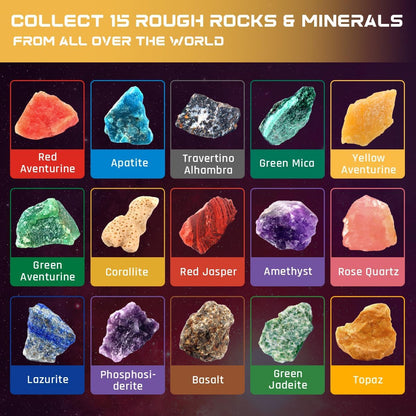 PIBEX Ocean Fossil Dig Kit, Dig up 20+ Real Shells & Seasnails, STEM Educational Activity Set Sea Creatures Excavation Toy for Kids, Marine Biology Geology Science Kit, Gift for Boys and Girls Age 6+