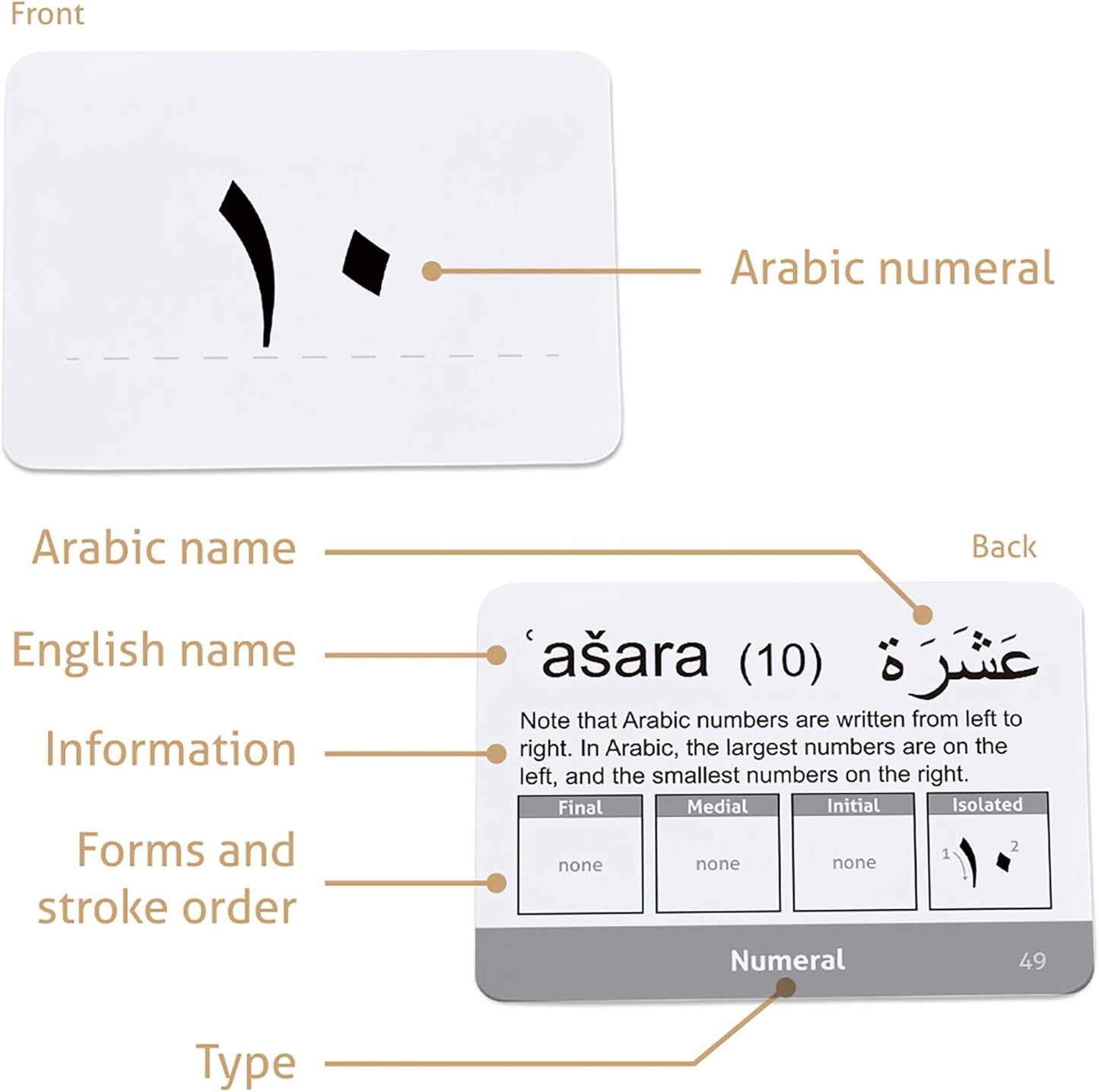 CARDDIA | Arabic Alphabet Educational Flashcards | Includes Consonants, Vowels, Diacritics and Numerals | Ideal for Arabic Language Beginners