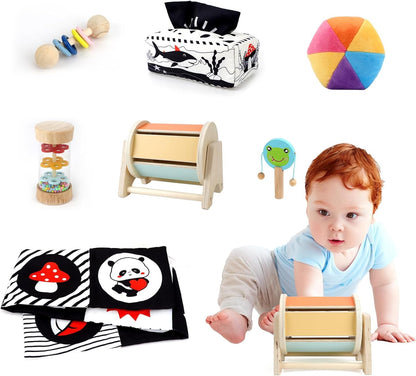 Dulsaera Montessori Toys for 1 Year Old, 6-in-1 Baby Toys 6-12 Months Educational Toys for 1 Year Old Developmental Learning Toy Infant Birthday Gifts for Boys Girls Babies