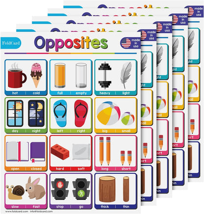 Multiplication Chart Math Table Poster – Double-Sided Educational Visual/Learning Aid Poster, Bright and Colorful | Glossy Durable Cardstock | 8.5 x 11" | 5 per Pack