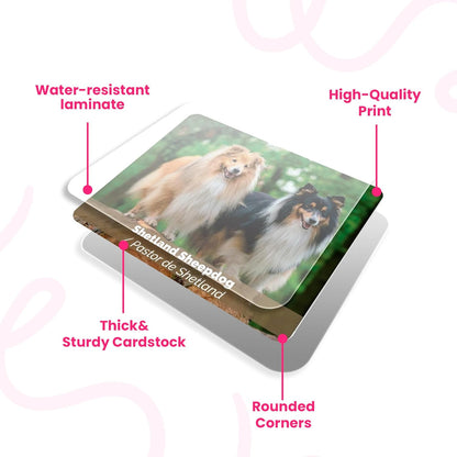 Menique Wild Animals Memory Matching Game – 80 Cards (40 Pairs) with Real Photos – Includes Educational Booklet with Animal Facts – Fun & Cognitive Game for Kids and Adults