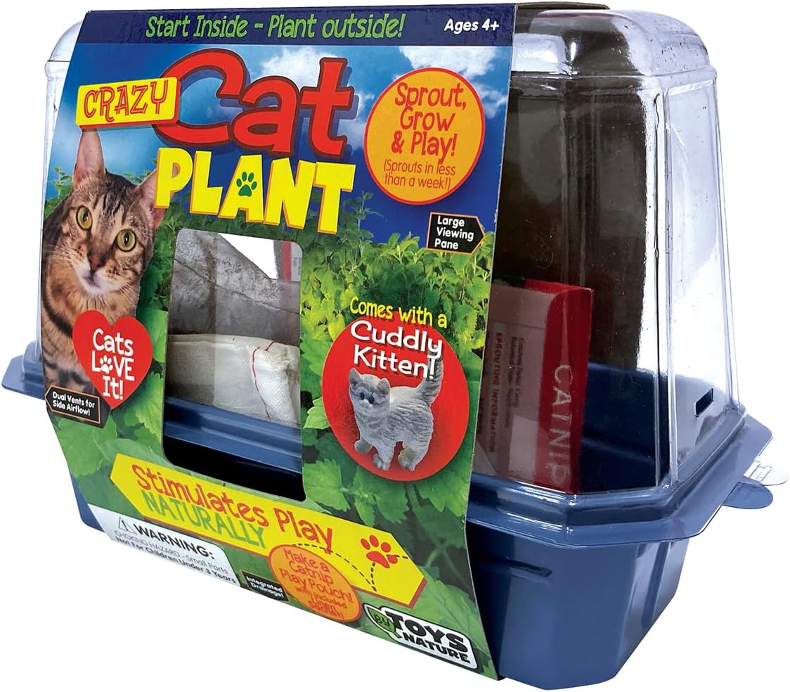 Toys By Nature Miniature Worlds Terrifying Venus Flytrap Terrarium Starter Kit for Kids and Adults, Watch Indoor Carnivorous Fly Traps Grow! Just Add Water! (Frightening Flytraps)