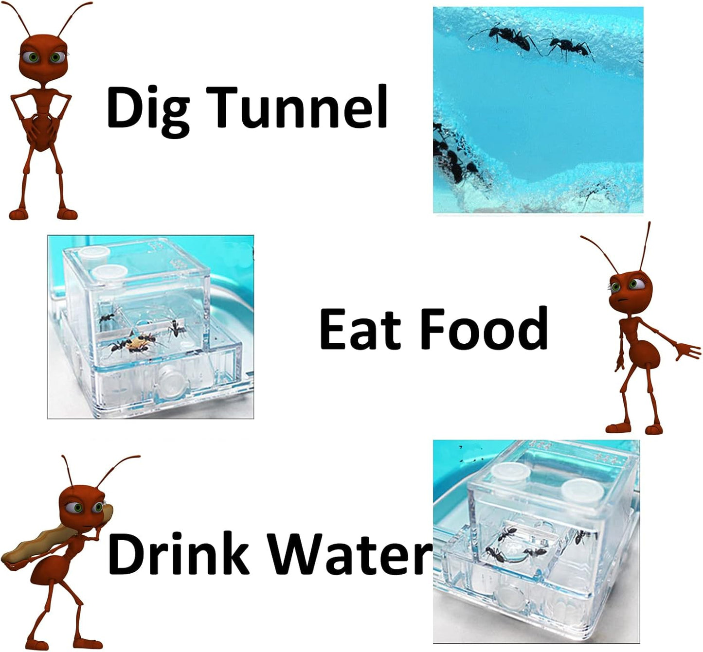 EXBEPE Large 2 Layer Gel Ant Colony Ecosystem Terrarium, Ant Habitat Science Learning Kit