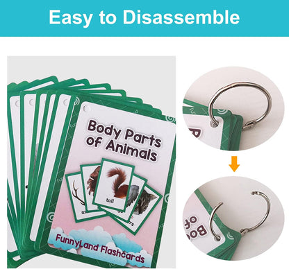 Lilias Body Parts Flash Cards, Toddler & Preschool Learning Toys, Kindergarten Learning Supplies, 4.3 x 3.14 Inch, 34 Cards