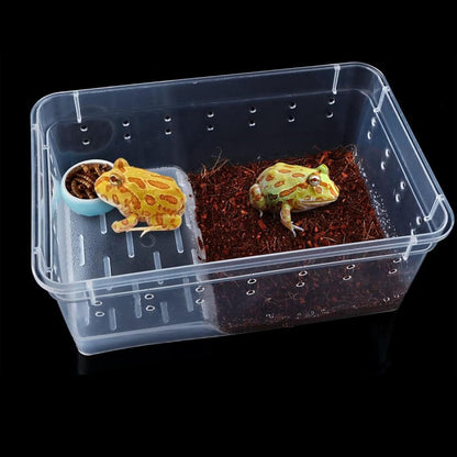 Critter Keeper Ant Farm Cane Toad Trap Little Live Pets Bug Catcher Kit for Kids Frog Habitat Turtle Tank Reptile Terrariums Lizard Cage Fish Bowl Beach Aquarium Catch and Release
