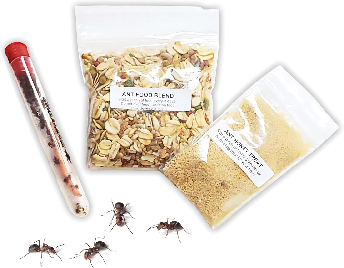 1 Tube Live Ant Farm Ants Plus Ant Food-Bundle