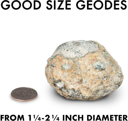 NATIONAL GEOGRAPHIC Break Open 2 Geodes Science Kit – Includes Goggles, Detailed Learning Guide and Display Stand - Great STEM Science gift for Mineralogy and Geology enthusiasts of any age