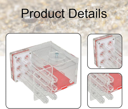 ANT Housing Nest ANT Farm Clear DIY Supplies Compact Workshop Habitat for Childrens Day Living Room Tabletop Bedroom Kitchen, 1.5cm