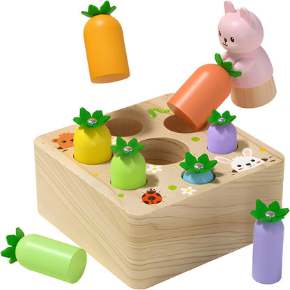 Ancaixin Montessori Toys for Babies 6-12 Months, Wooden Toys for 1 Year Old Boys and Girls, Educational Carrot Harvest Toy for Toddlers, Shape Sorting Matching Puzzle, Developmental Birthday Gifts