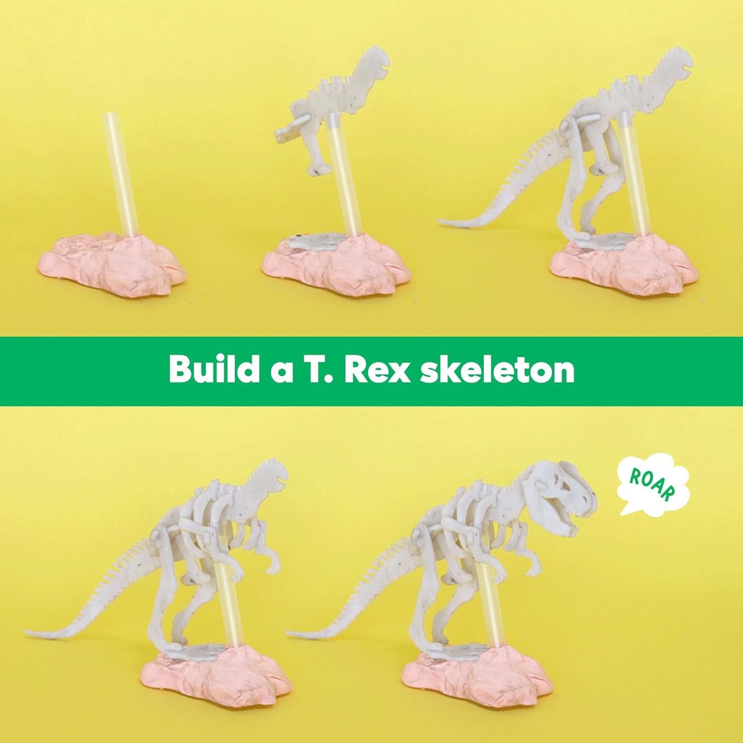 KiwiCo Dinosaur Fossil Dig Kit, STEM Paleontology Science Set for Kids Ages 6+, Excavate and Build Skeleton, Facts Poster