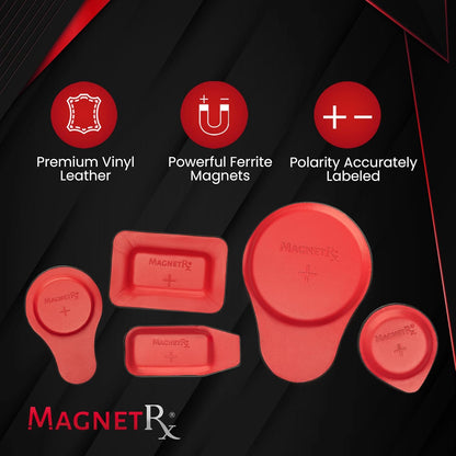 MagnetRX® Biomagnetic Magnets Kit – Imanes para Biomagnetismo Médico – Dr Goiz Magnets for Biomagnetism Bio Magnet Pair – 5200 Gauss Large Round Magnet (6 Units)