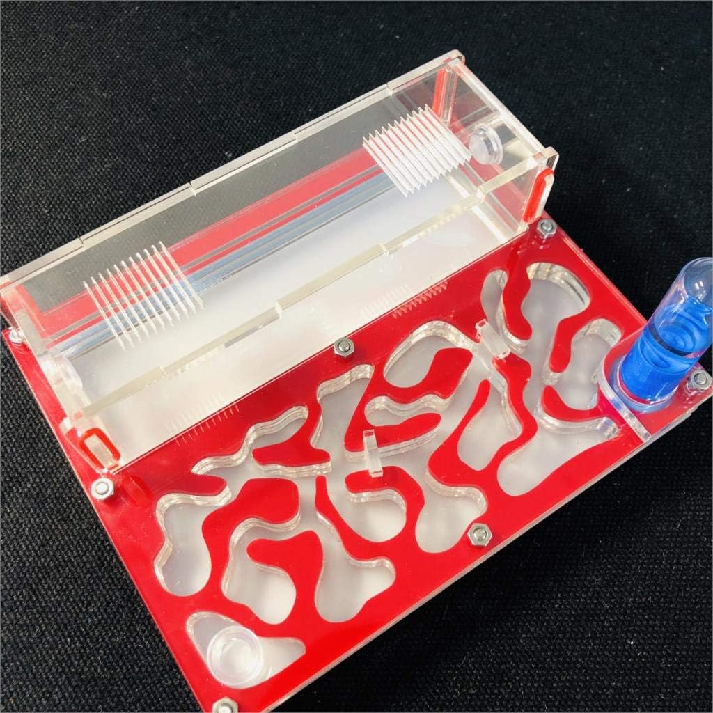 ANT 150mmx110mm Test Tube Moisture Big Space Nest Farm Acrylic, Insect Villa House Ecological Workshop (Pink)
