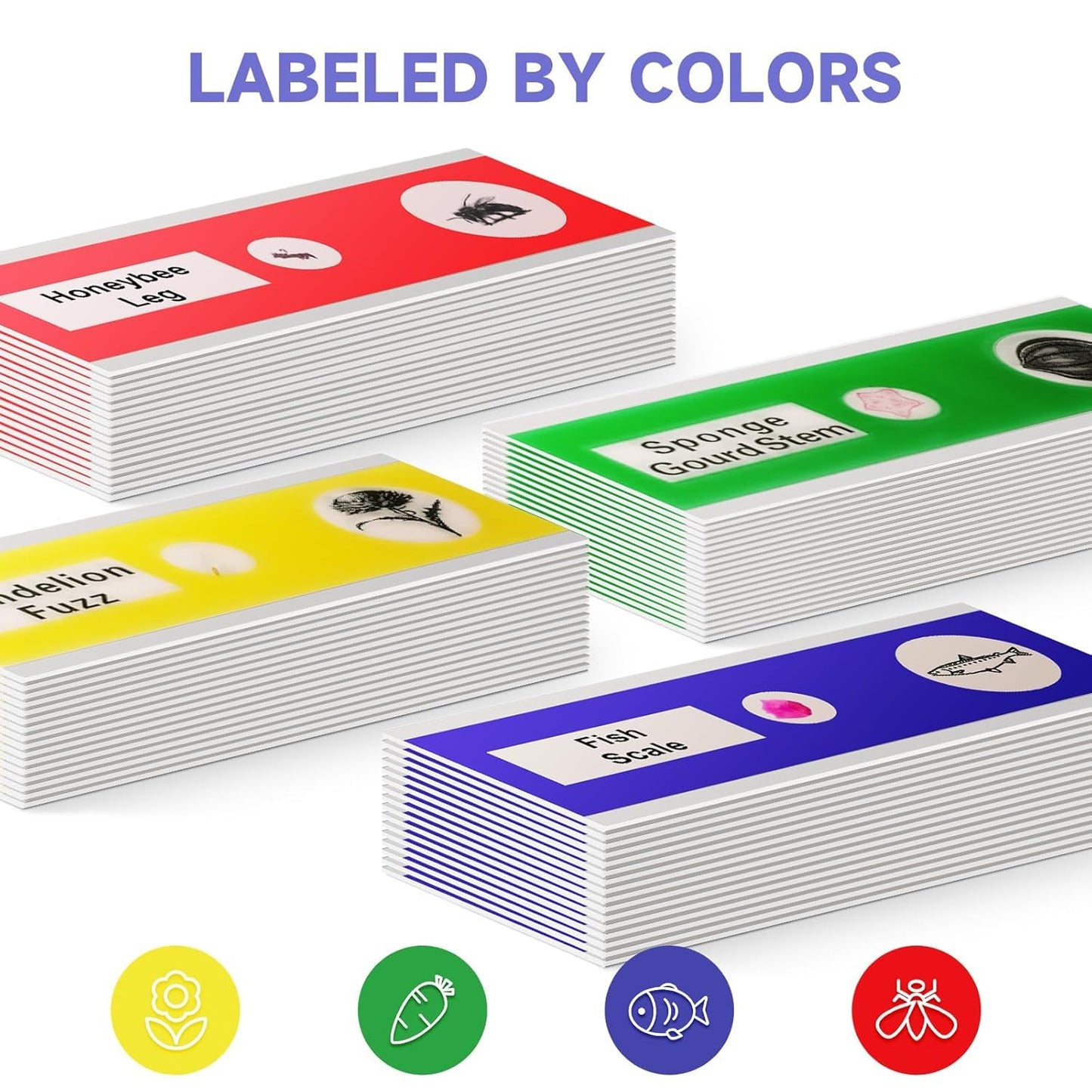 Jiusion 60Pcs Prepared Microscope Slides Specimen Animals Insects Plants Flowers Sample Biological Specimen, Stereo Microscope Slide for Kids Children Students Enlighten Education