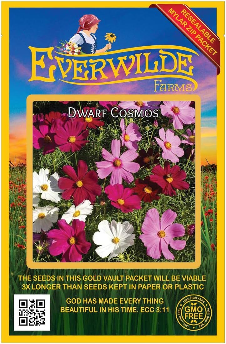 Everwilde Farms - 500 Dwarf Mixed Cosmos Wildflower Seeds - Gold Vault Jumbo Seed Packet