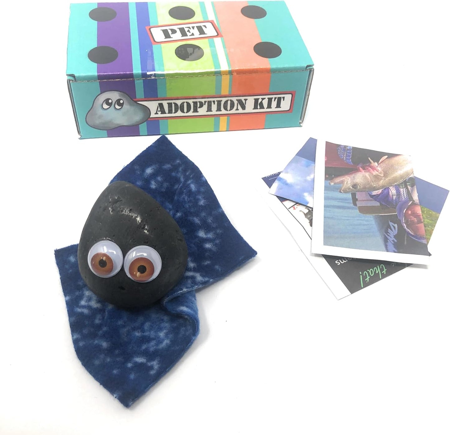 Rock Pet Adoption Kit Funny Novelty Gag Gift (Green Eyes)