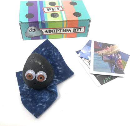 Rock Pet Adoption Kit Funny Novelty Gag Gift (Green Eyes)