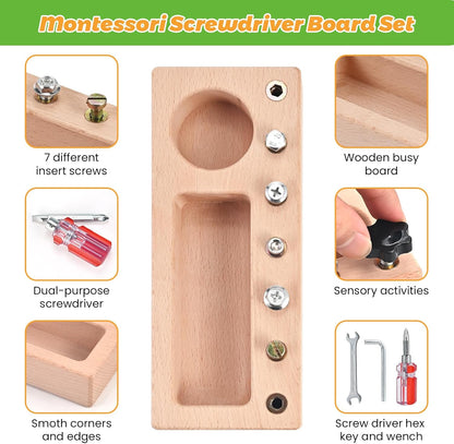 Montessori Screwdriver Board Set with Lock and Key, Montessori Toys for 3 4 5 Year Old, Wooden Screw Driver Activities Tools, Fine Motor Skills Preschool Learning Sensory Toy