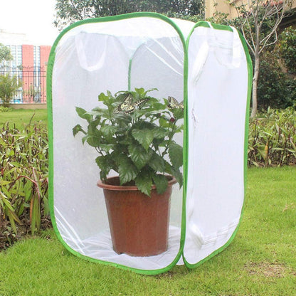 Foldable Butterfly Habitat, Butterfly Cage for Caterpillars, Create Farm, Enclosure for Breeding Soldier Fly, Dragonfly, or Housefly for Chicken and Reptile Feed (30 * 30 * 30cm)