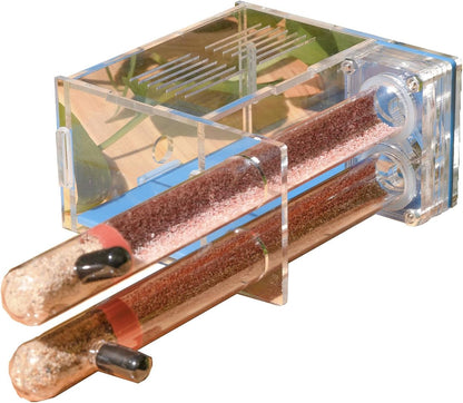 Plaster Test Tube Adult ant Farm Acrylic Transparent ant Observation Behavior Study Live Ants and Queen Education ant nest Small Colony breeding Area Suitable for Children and Enthusiasts Gift
