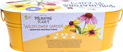 Buzzy Seeds Wildflower Garden Grow Kit, All-in-One Indoor Seed Starter Set with Non-GMO Mix of Coneflowers and Black Eyed Susans with a Decorative Planter - Great Gift for Gardeners, Gardening Project