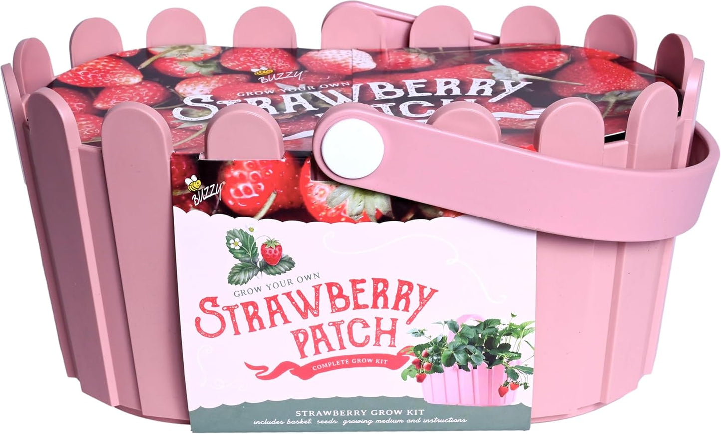 Buzzy Seeds Strawberry Grow Kit Pink Picket Fence Berry Basket with Grandian Seeds, Indoor Planting Starter Kit, DIY Garden Project, Gardening Gift for Women