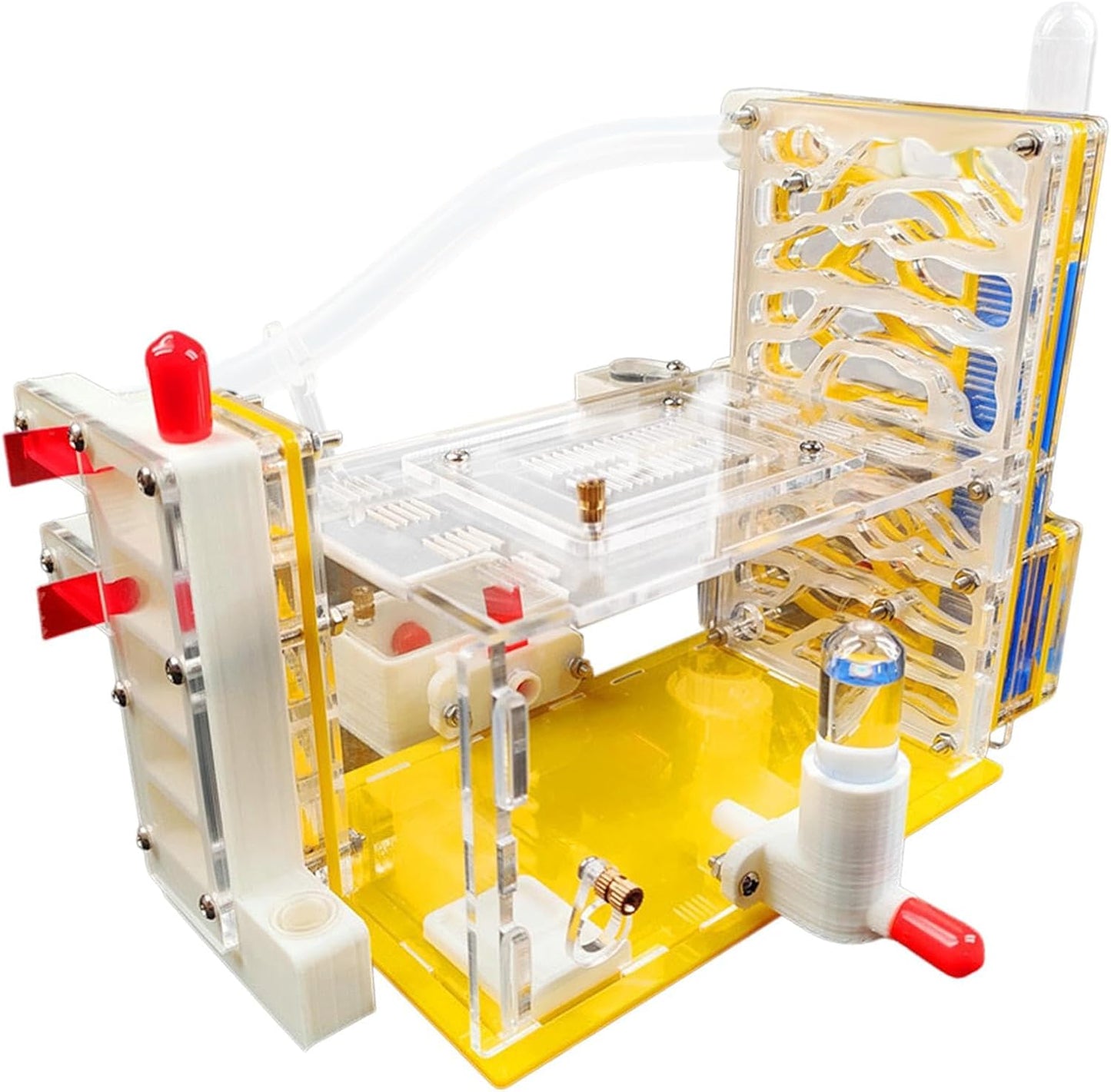 DIY ANT Farm Castle Observation ANT Viewing Habitat for Home Students