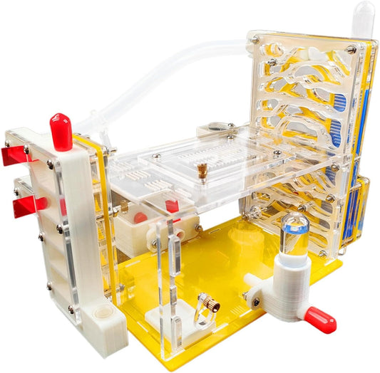 DIY ANT Farm Castle Observation ANT Viewing Habitat for Home Students