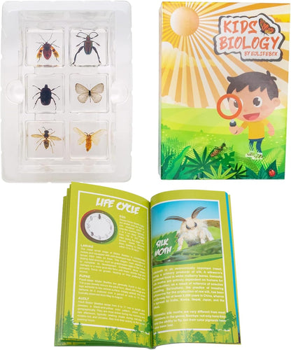 Insect Specimen Set, Bugs Collection Scientific Education Gift for Kids Aged 3-8-12 (Millipede, Centipede, Dragonfly Larvae, Tea Seed Bug, Red Longhorn Beetle, Spiny Spider)