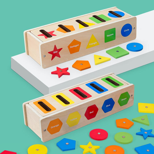 Montessori for Toddlers, Magnetic Color Shape Sorting Matching Box, Early Learning Toys, Wooden Educational Toy, Fine Motor Skills Toys for Boys Girls