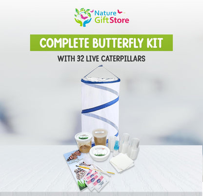 30 Live Caterpillars for Butterfly Habitat Kit - Refill for Painted Lady Butterfly Kit with Caterpillar Food, Instructions - Educational Science Kit, 6 Cups of 5 Caterpillars
