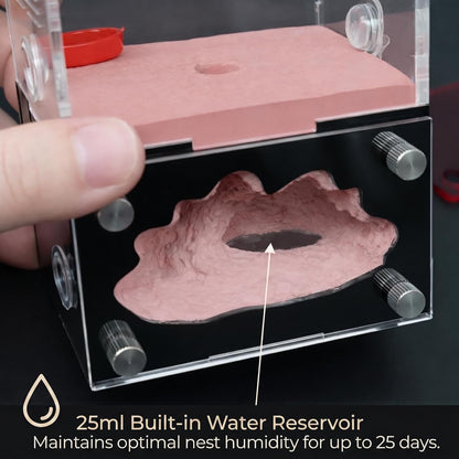 Formicarium – Ant Farm Habitat Kit for Behavior Observation, Educational Terrarium for Adults and Kids
