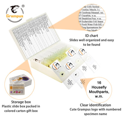 30 Prepared Microscope Slides with Specimens for Kids Students - Plants, for Biological Science Lab, Children's Science Education, Homeschooling Use