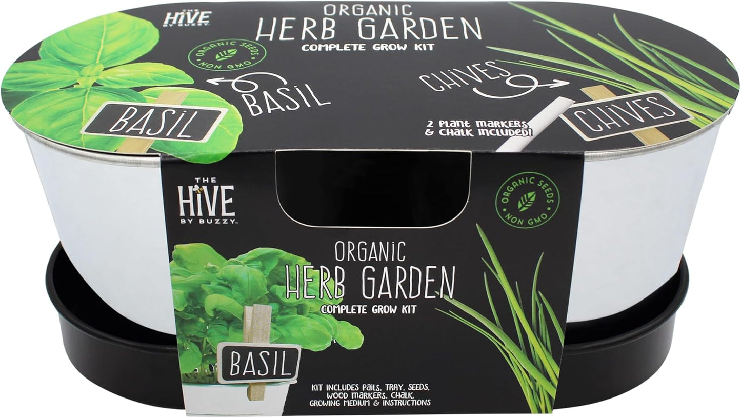 BUZZY Seeds Pollinator Garden Grow Kit with 2 Galvanized Metal Pots, Black-Eyed Susan and Coneflower Seeds, Growing Medium, Plant Markers, Chalk and Easy Instructions, Great Gift for Plant Lovers