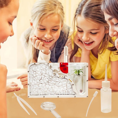 EXBEPE Sand Ant Farm Castle Ant Colony Ecosystem Science Educational Gift Live Ant Habitat to Study Insect Behavior