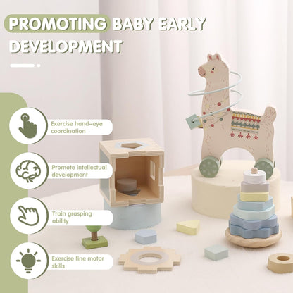 FReniland Montessori Toys for 1 Year Old，3-in-1 Wooden Baby Toys，Wooden Stacking Toy，Toddler Shape Sorting Cube, Giraffe Ring Toy,Newborn Baby Gift Sets for Boys and Girls