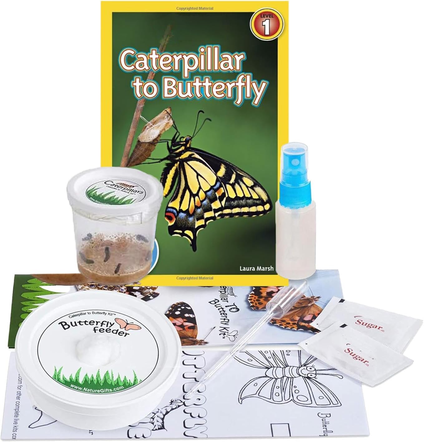 5 Live Caterpillars for Butterfly Habitat Kit - Refill for Painted Lady Butterfly Kit with Rearing Supplies and Book Bundle