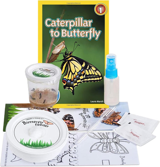 5 Live Caterpillars for Butterfly Habitat Kit - Refill for Painted Lady Butterfly Kit with Rearing Supplies and Book Bundle