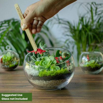 Cute Farms Terrarium Starter Kit | Moss, Vermiculite, Soil, Pebbles, Plant Food, & Finishing Tools (Large Kit + Crystals)